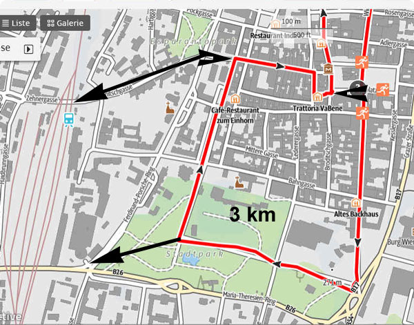 Mensch Garmin